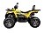 Квадроцикл AVANTIS H250 BIG NEW Premium
