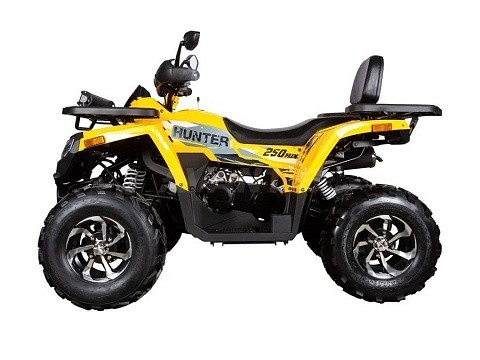 Квадроцикл AVANTIS H250 BIG NEW Premium