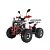 Квадроцикл WELS Thunder EVO 125X ST