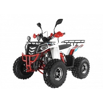 Квадроцикл WELS Thunder EVO 125X ST