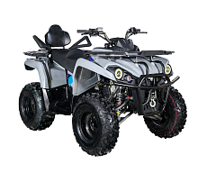Квадроцикл AVANTIS Forester Long 200 Basic