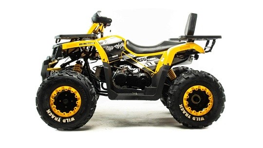 Квадроцикл MOTOLAND Wild Track LUX 200