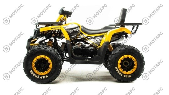 Квадроцикл MOTOLAND Wild Track LUX 200