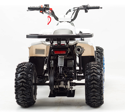 Квадроцикл MOTOLAND Eagle 110