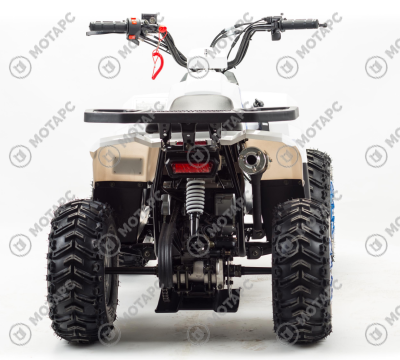 Квадроцикл MOTOLAND Eagle 110