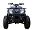 Квадроцикл AVANTIS Hunter 200