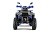 Квадроцикл WELS Thunder Trail 200 PRO Квадроцикл WELS Thunder Trail 200 PRO