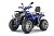 Квадроцикл WELS Thunder Trail 200 PRO Квадроцикл WELS Thunder Trail 200 PRO
