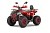 Квадроцикл WELS Thunder Trail 125 PRO Квадроцикл WELS Thunder Trail 125 PRO
