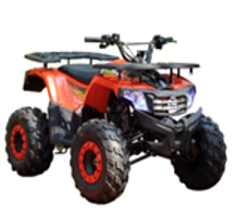 Квадроцикл WELS Thunder AX 125