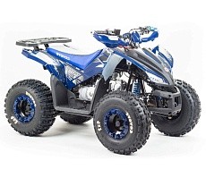 Квадроцикл MOTOLAND Coyote 125