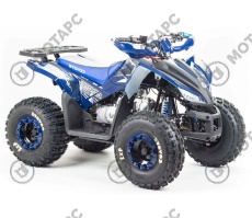 Квадроцикл MOTOLAND Coyote 125