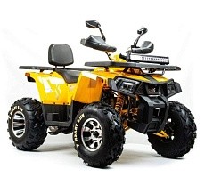 Квадроцикл MOTOLAND Wild Track X PLUS 250