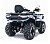 Квадроцикл MOTOLAND Max X 300 с ПТС Квадроцикл MOTOLAND Max X 300 с ПТС