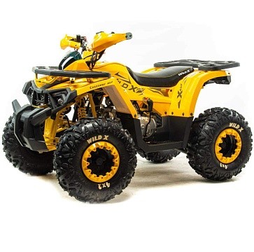 Квадроцикл MOTOLAND Wild X A 125