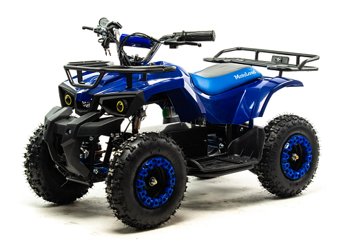 Квадроцикл (игрушка) MOTOLAND E009 1000Вт