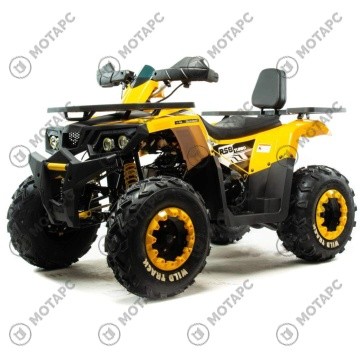Квадроцикл MOTOLAND Wild Track LUX 200