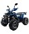 Квадроцикл MOTOLAND Wild X PRO 125