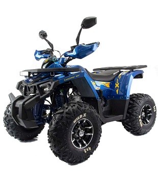Квадроцикл MOTOLAND Wild X PRO 125
