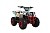 Квадроцикл WELS Thunder EVO 110 M