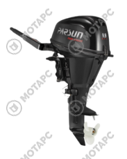 Мотор лодочный PARSUN F9.9ABMS-EFI PRO