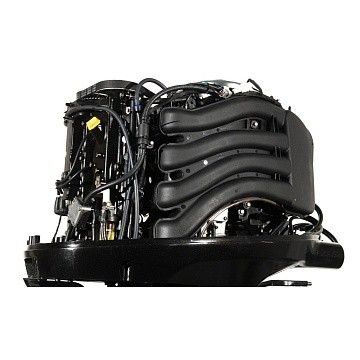 Мотор лодочный PARSUN F100FEL-T-EFI