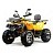 Квадроцикл MOTOLAND Wild Track X 200