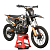 Мотоцикл AVANTIS Enduro 300 PRO EFI Exclusive (NC250/177MM) ARS