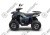 Квадроцикл AVANTIS Ray 8 Premium