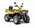 Квадроцикл IRBIS ATV 200 Lux