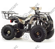 Квадроцикл MOTOLAND Fox A 125