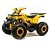 Квадроцикл MOTOLAND Wild X 125