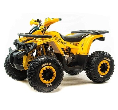 Квадроцикл MOTOLAND Wild X 125