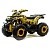 Квадроцикл MOTOLAND Wild X A 125