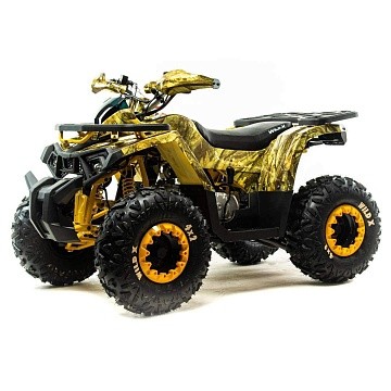 Квадроцикл MOTOLAND Wild X A 125