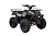 Квадроцикл WELS Thunder 200 Квадроцикл WELS Thunder 200
