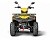 Квадроцикл IRBIS ATV 200 Lux
