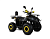 Квадроцикл MOTAX Grizlik Super Lux 125