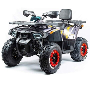 Квадроцикл MOTOLAND Wild Track X 200