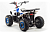Квадроцикл MOTOLAND Eagle 110