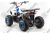 Квадроцикл MOTOLAND Eagle 110