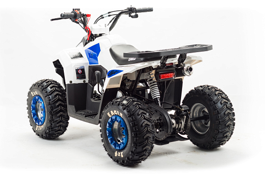 Квадроцикл MOTOLAND Eagle 110