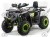 Квадроцикл MOTOLAND Wild Track LUX 200