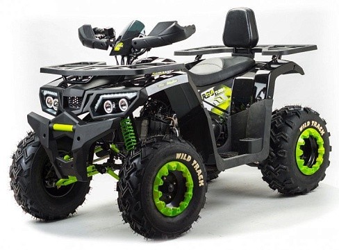 Квадроцикл MOTOLAND Wild Track LUX 200