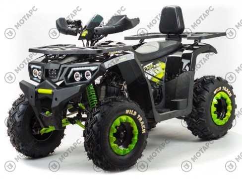Квадроцикл MOTOLAND Wild Track LUX 200