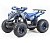 Квадроцикл MOTOLAND Coyote 125 Квадроцикл MOTOLAND Coyote 125