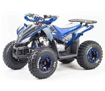 Квадроцикл MOTOLAND Coyote 125