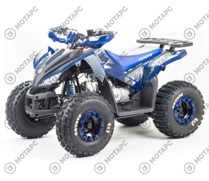 Квадроцикл MOTOLAND Coyote 125