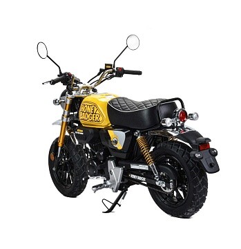 Питбайк MOTOLAND Monkey 150