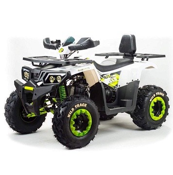 Квадроцикл MOTOLAND Wild Track LUX 200